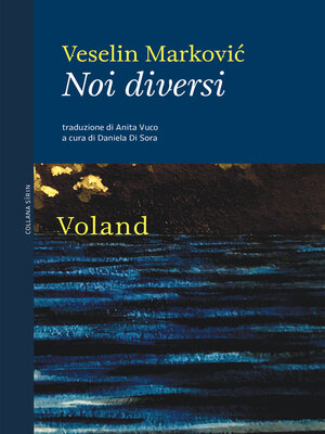 cover image of Noi diversi